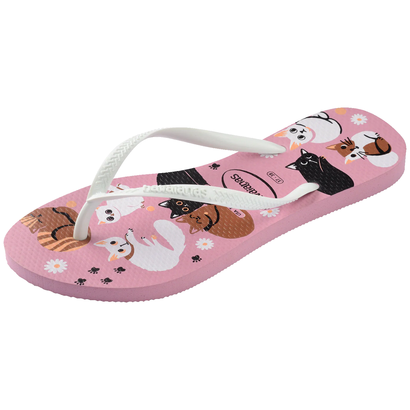 Imagem do produto 6